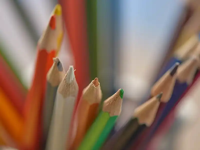 A bunch of multi-color pencils.