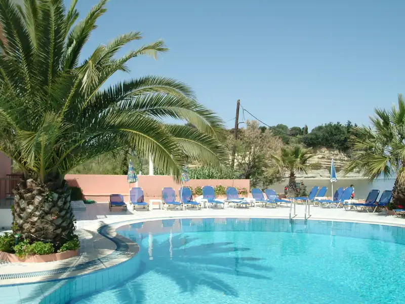 Palm trees overlooking a swimming pool.