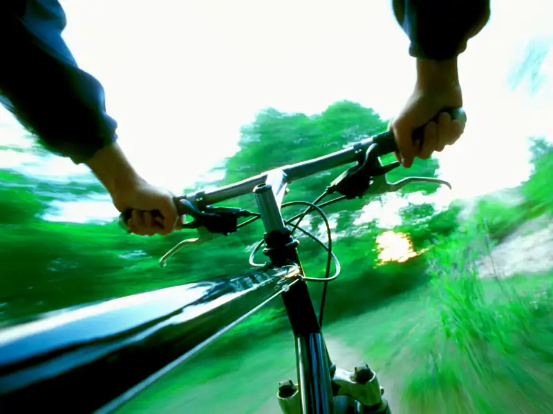 POV of a bicycle rider in the woods.
