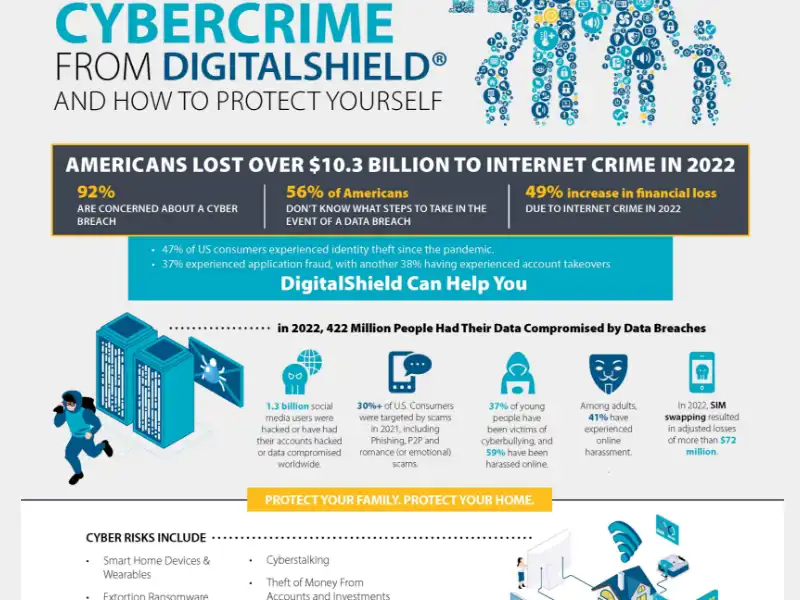 Cybercrime infographic thumbnail